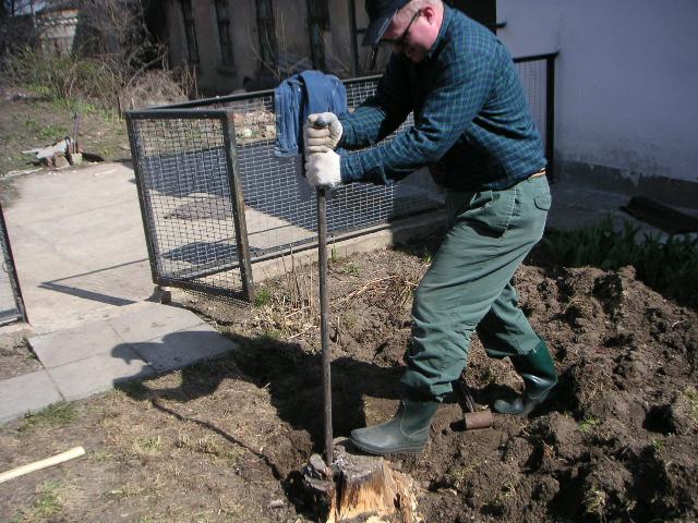 Stump removal