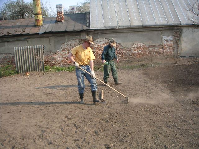 Planting