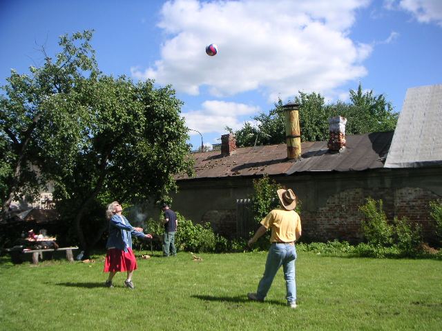 volleyball